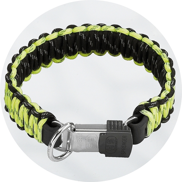 Black and yellow dog collar shop